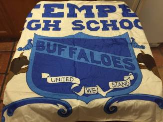 Tempe High School - School Flag
