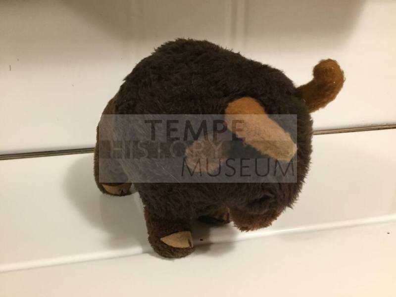 Tempe High School - Roger Buffalo