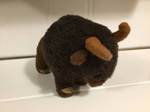 Tempe High School - Roger Buffalo