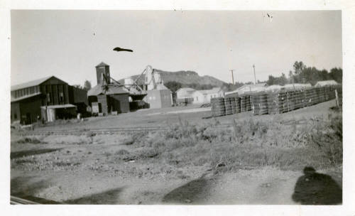 Southeast Cotton Gin