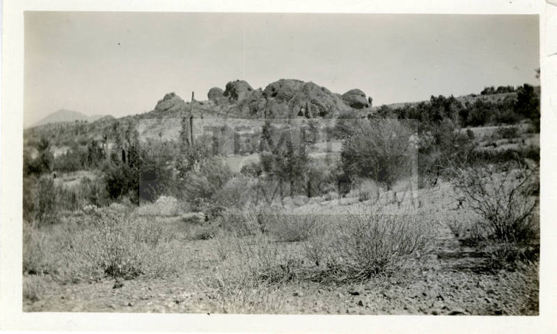Papago Park Desert  Area near Tempe