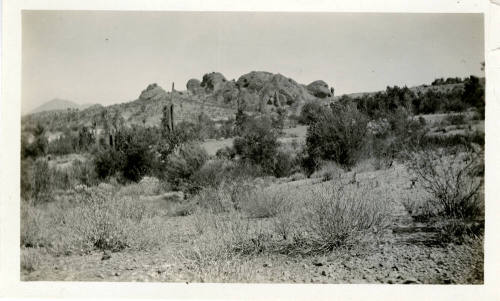 Papago Park Desert  Area near Tempe