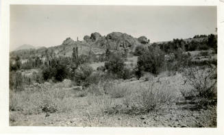 Papago Park Desert  Area near Tempe