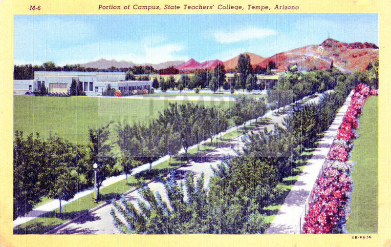 Postcard of portion of campus, State Teachers' College, Tempe, Arizona.