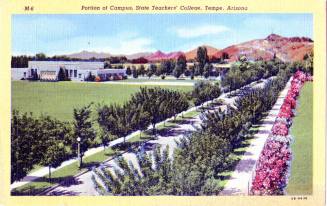 Postcard of portion of campus, State Teachers' College, Tempe, Arizona.