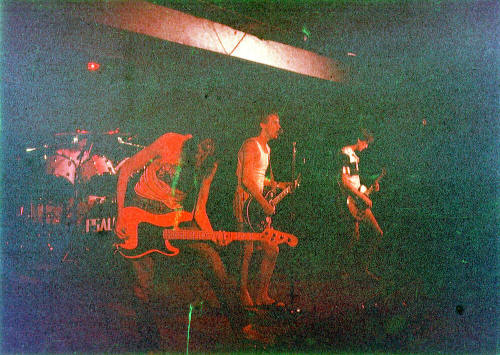 The Psalms Playing at Merlin's - Danelle Plaza