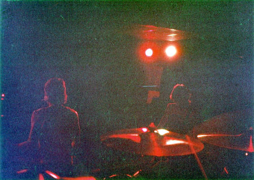 The Psalms Playing at Merlin's - Danelle Plaza
