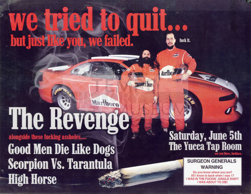 The Revenge Music Poster