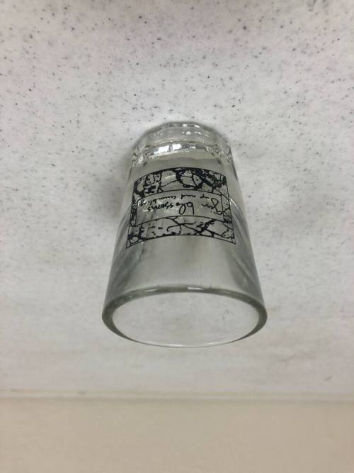 Gin Blossoms Shot Glass