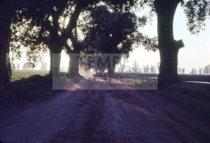 Car Driving Along Dirt Path Among Trees - Price Rd. and Queen Creek Rd.