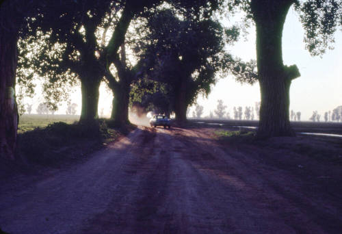 Car Driving Along Dirt Path Among Trees - Price Rd. and Queen Creek Rd.