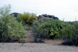 Papago Park Landscape