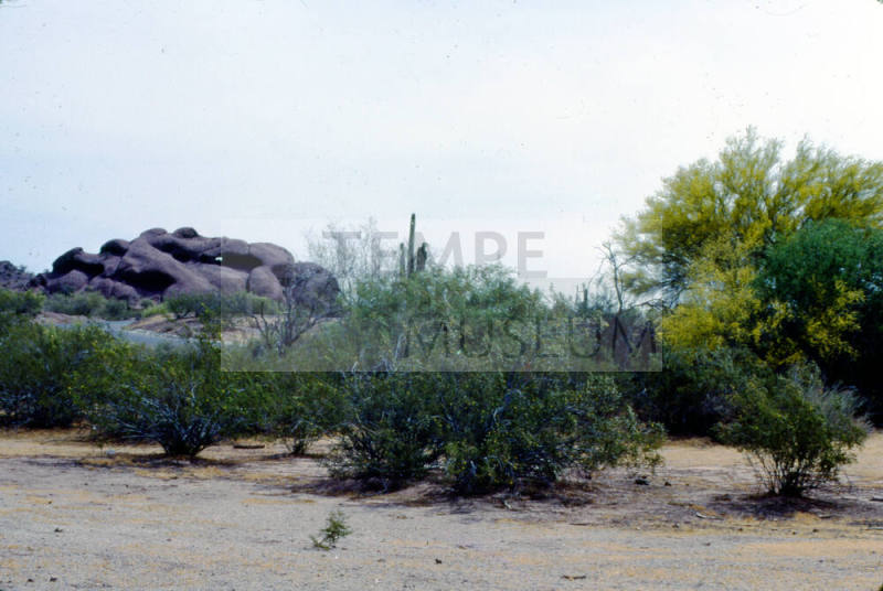 Papago Park Landscape