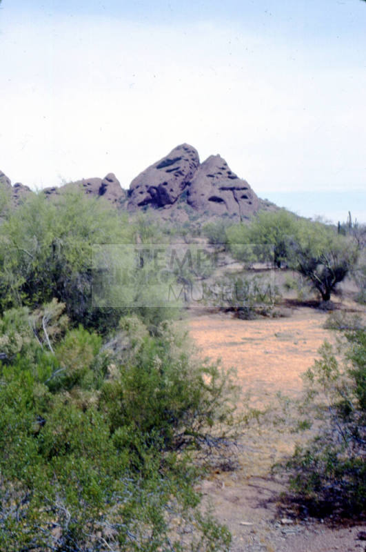 Papago Park Landscape
