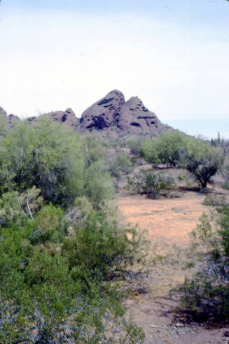 Papago Park Landscape