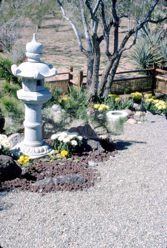 Desert Botanical Garden