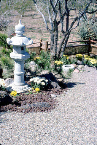 Desert Botanical Garden
