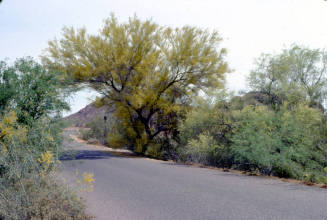 Papago Park Road