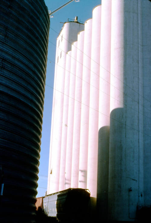 Hayden Flour Mill