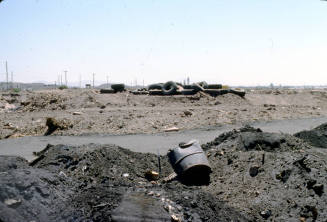 Trash and Old Tires, Salt River bed
