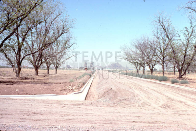 Trees with Ocotillo Power Plant, Tempe Butte, and Manzanita Residence Hall