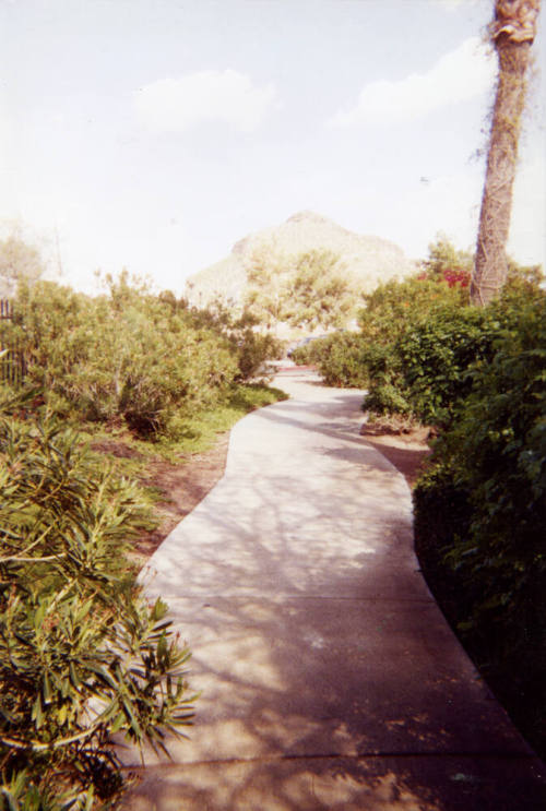 Hayden Butte and Sidewalk