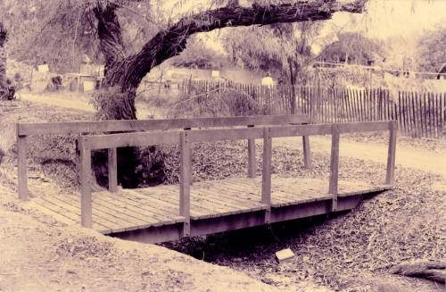 Peace Park
