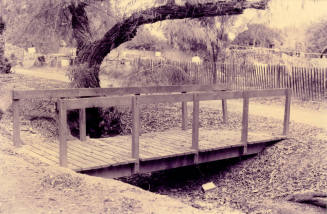 Peace Park