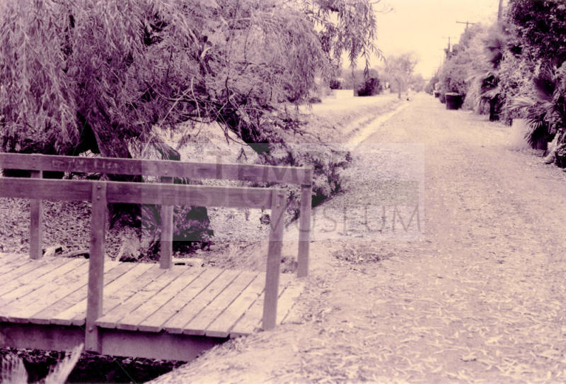 Peace Park