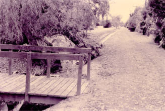 Peace Park