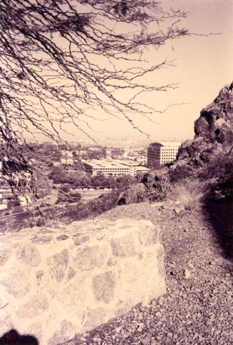 View from Tempe Butte