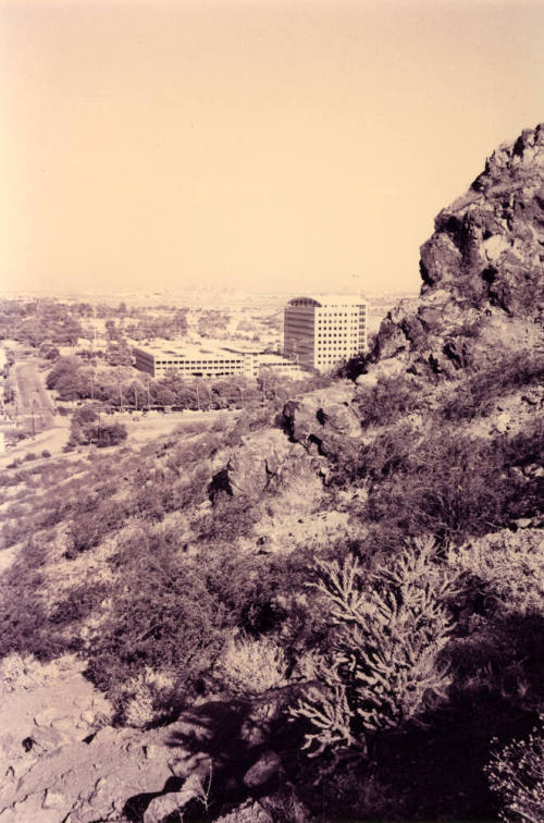 View from Tempe Butte