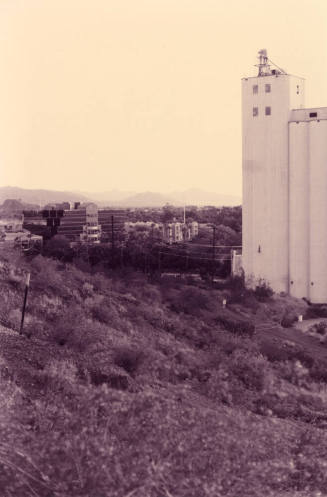 Hayden Flour Mill