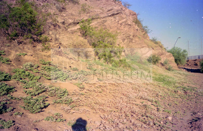 Tempe Butte