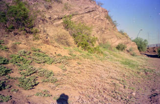 Tempe Butte