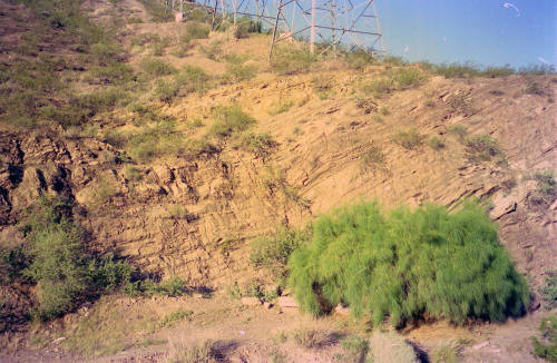 Tempe Butte