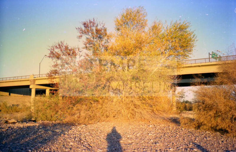 Priest Drive Bridge