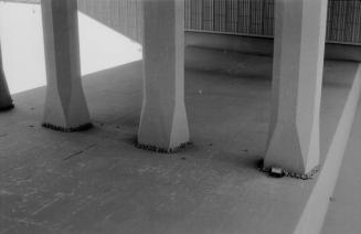 Swallow Nests Under Bridge