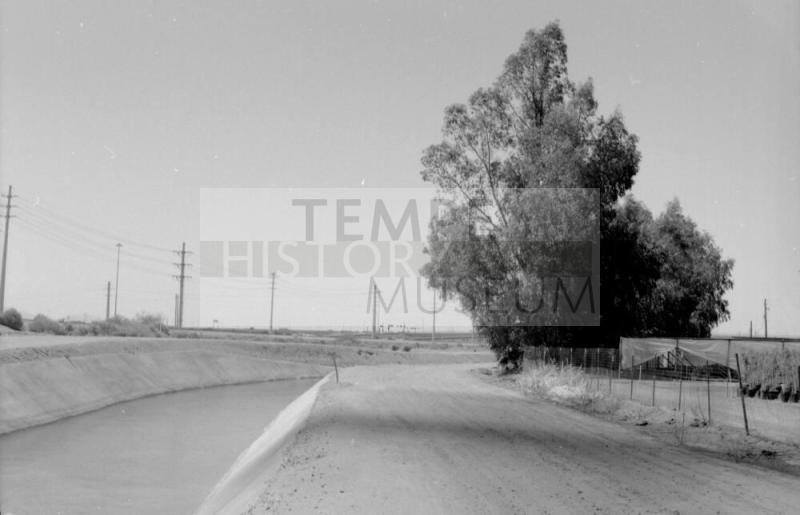 Canal, Dirt Road and Large Tree