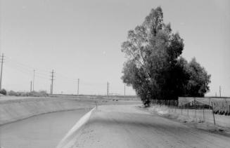 Canal, Dirt Road and Large Tree
