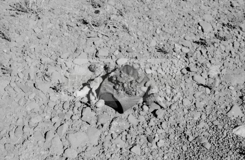 Rocks and Old Can