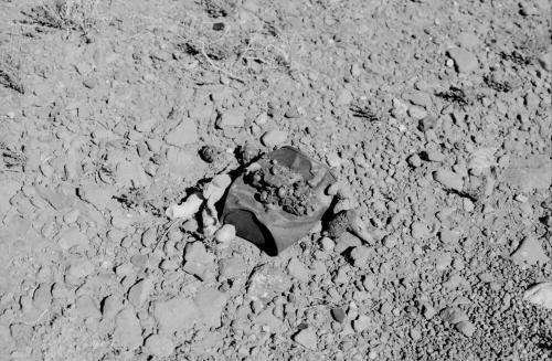 Rocks and Old Can