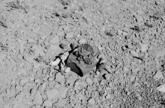 Rocks and Old Can