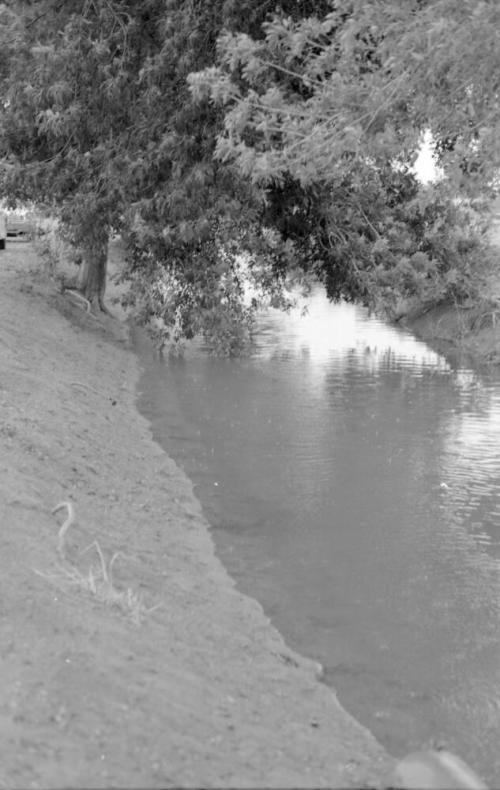 Tempe Canals