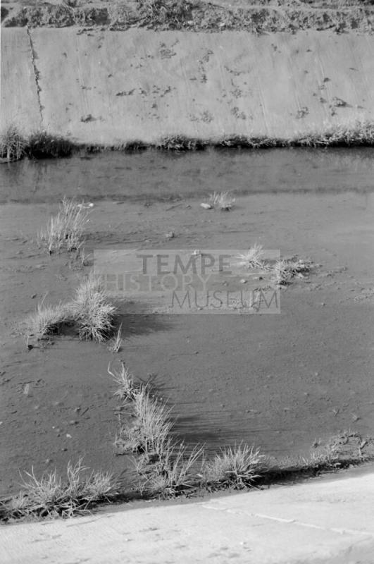 Tempe Canals