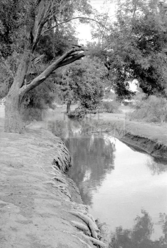 Tempe Canals