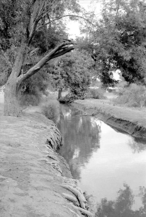 Tempe Canals