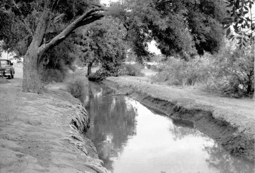Tempe Canals