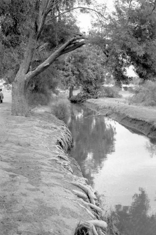 Tempe Canals