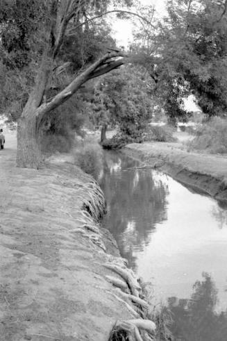 Tempe Canals